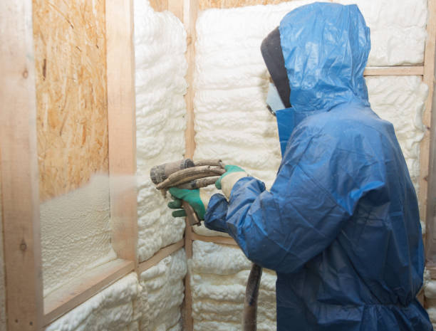 Best Soundproof Insulation  in Andrews, SC